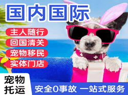 常州航空空运国际宠物托运 【国